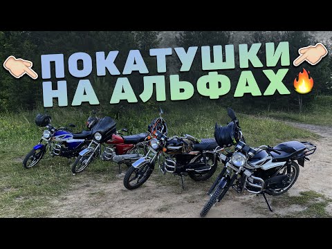 Видео: ПОКАТУШКИ на АЛЬФАХ
