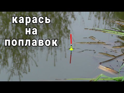 Видео: ЛОВЛЯ КАРАСЯ ВЕСНОЙ НА РЕКЕ!!! Рыбалка на поплавок в апреле 2024