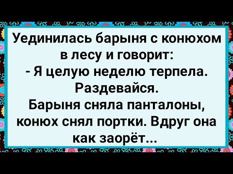 Видео: Как Барыня с Конюхом в Лесу Уединилась! Большой Сборник Свежих Смешных Анекдотов!