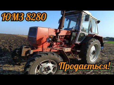 Видео: 🇺🇦Продається трактор ЮМЗ 8280! + робота з плугом Плн 3-35!