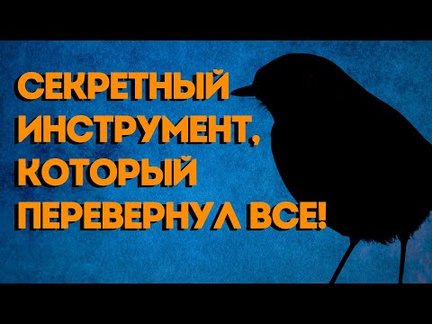 Видео: ПРИРОДА - САМЫЙ ЛУЧШИЙ МУЗЫКАНТ [ПО ТУ СТОРОНУ ЗВУКА]