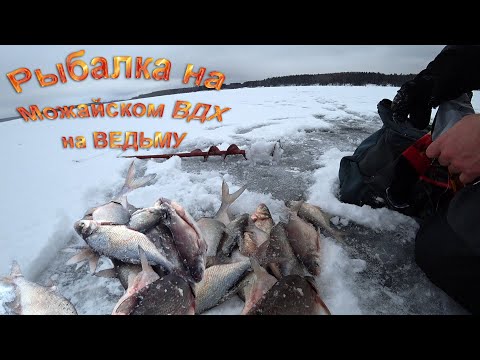 Видео: Черт и ведьма в деле. Рыбалка на Можайском ВДХ. Безмотылки.Подлещик не устоял перед этими насадками.