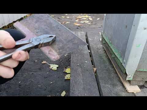 Видео: Пчелосемьи избавляются от клеща. 