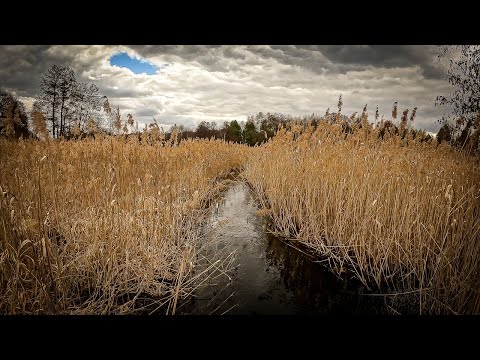 Видео: Нарма на сапбордах-  март 2025