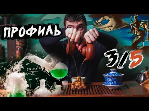 Видео: Профиль 3/5. Костюм мученика - еретика. Как это работает? Дизайн Человека.