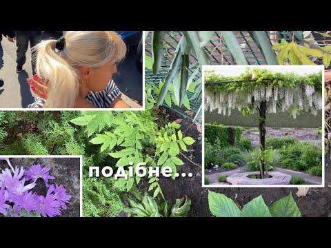 Видео: Делаем Опору для Глицинии 🌱Растет Маракуйя🌻Улитки доедают
