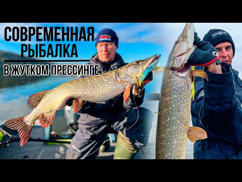 Видео: Современный подход к ЛОВЛЕ и ПОИСКУ щуки на ЗАПРЕСОВАННОЙ РЕКЕ | Panoptix, боковики и карта глубин