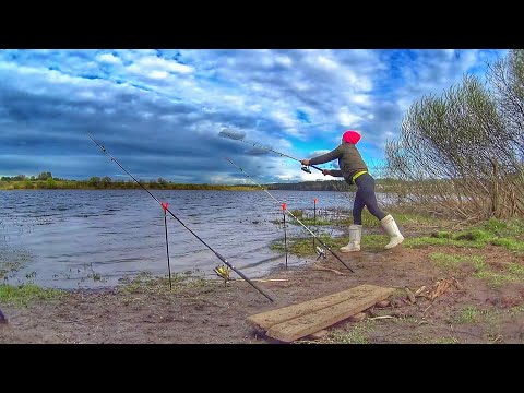 Видео: Клюнул первый КРУПНЫЙ ЛЕЩ Рыбалка на ДОНКИ Пенопласт Russian fishing