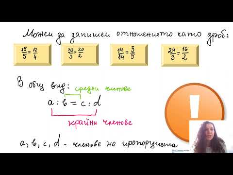 Видео: Пропорции