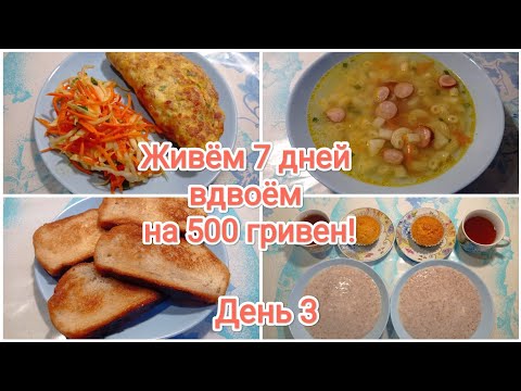 Видео: Живём 7 дней вдвоём на 500 гривен! День 3