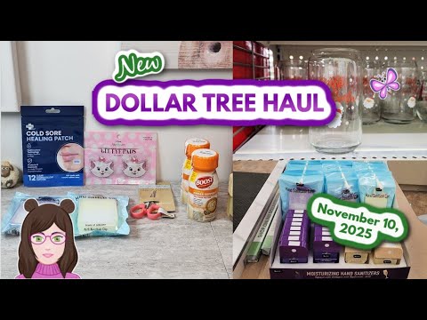 Видео: НОВЫЙ DOLLAR TREE: охота и пошаговое руководство! Нью-Оксфорд, Пенсильвания! | 10 ноября 2025 г.