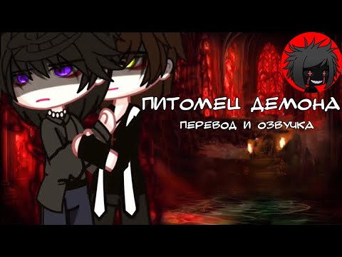 Видео: ЯОЙ "Питомец демона" Перевод и озвучка гача-фильм