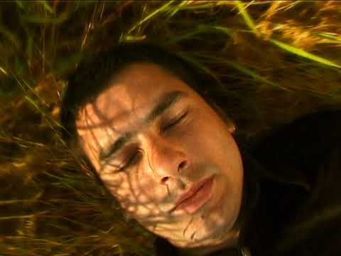 Видео: Остава - "Поля от слънчогледи"