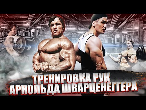 Видео: МОЩНАЯ Тренировка Рук Арнольда Шварценеггера (Трицепс Бицепс)