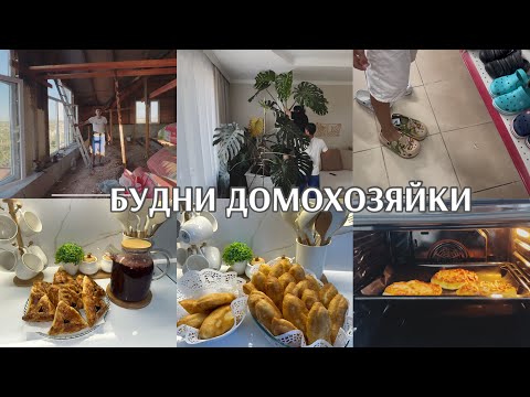 Видео: Пересадили монстеру / УРА 🥳 получилось / РЕМОНТ продолжается/ ГОТОВИМ И РАЗГОВАРИВАЕМ