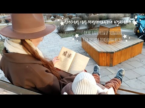 Видео: Весна на маленькой кухне | Сажаю нарциссы и тюльпаны | Как прошла половина весны