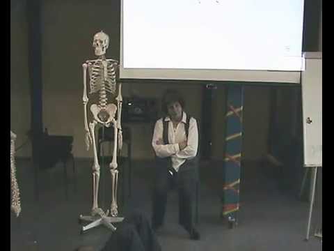 Видео: Дифференцирование движений таза.