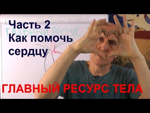 Видео: Главный ресурс тела. Ч2 Как работает сердце