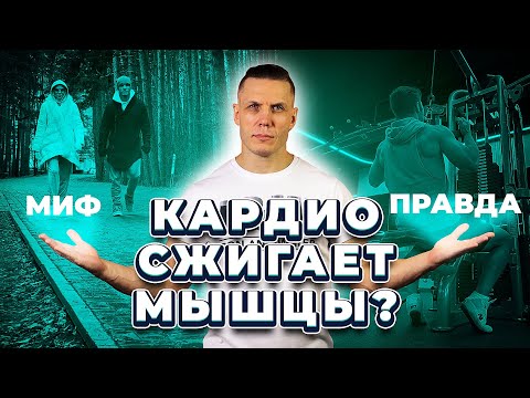 Видео: Кардио сжигает мышцы? Миф и правда: как совмещать с силовыми без потерь