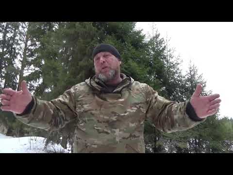 Видео: Сроки и время заготовки бересты