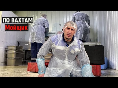 Видео: ПО ВАХТАМ РАБОТА МОЙЩИКОМ НА КУХНЕ,УЖАСНЫЙ ЗАПАХ Часть 1