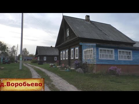 Видео: Какой дом можно купить в деревне за миллион? Деревня рядом с крупным селом. Тихая и уютная деревня