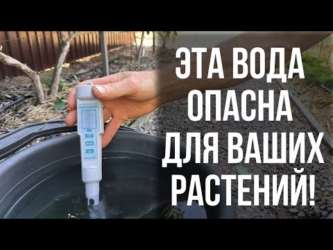 Видео: Какую воду любят ваши растения?