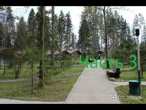 Видео: Солонцово часть 3