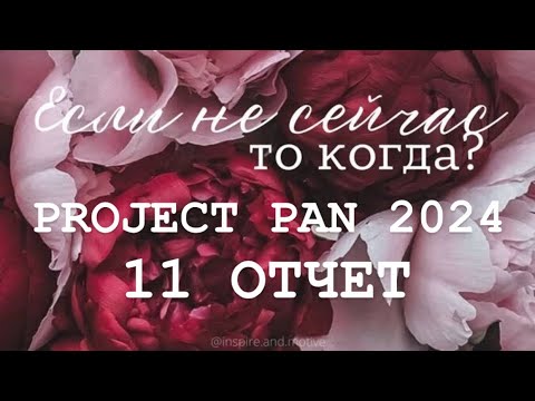 Видео: Бесконечный PROJECT PAN 2024 Отчет 11