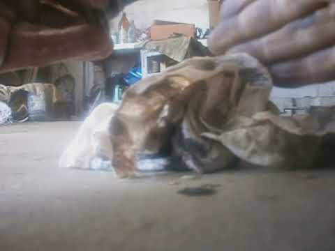 Видео: замена масла в акпп митсубиси грандис 2.4