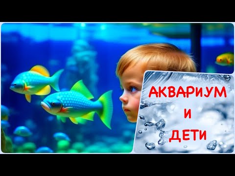Видео: Аквариум для детей. Стоит ли ставить?