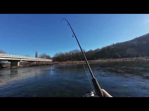 Видео: Шеметно откриване 2025