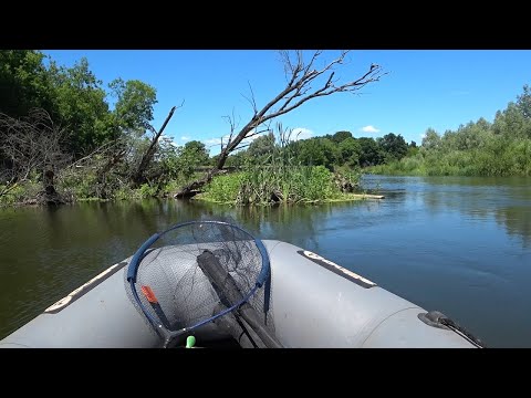 Видео: ФИДЕР С ЛОДКИ В КОРЯГАХ