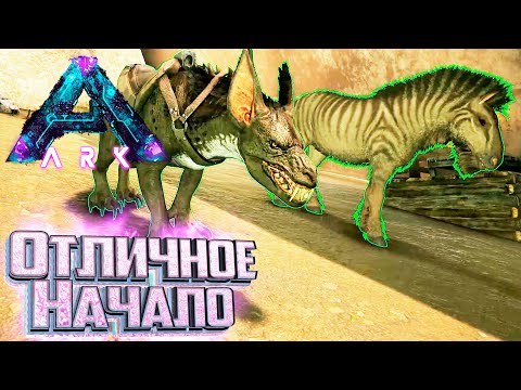 Видео: Отличное Начало на Аберрации - ARK Survival Aberration Выживание