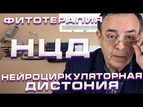 Видео: Фитотерапия. Нейроциркуляторная дистония. НЦД.
