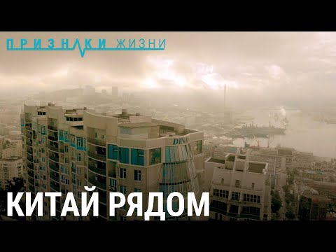 Видео: Китай рядом | ПРИЗНАКИ ЖИЗНИ