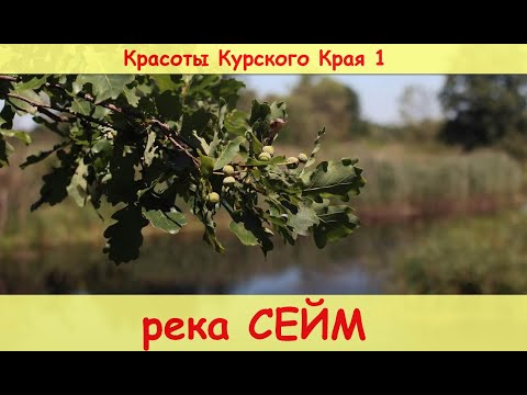 Видео: Река СЕЙМ  (Красоты Курского Края - 1)