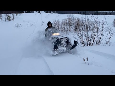 Видео: Снегоходы тайга патруль 550, стелс мороз и длиннобазный буран! Покатушки на Пижме!