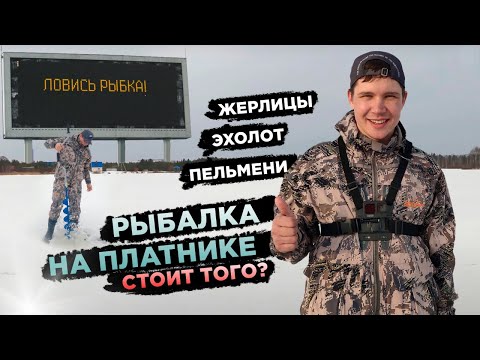 Видео: С жерлицами по Челябинской области ч.1 Рыбалка на щуку. Эхолот.