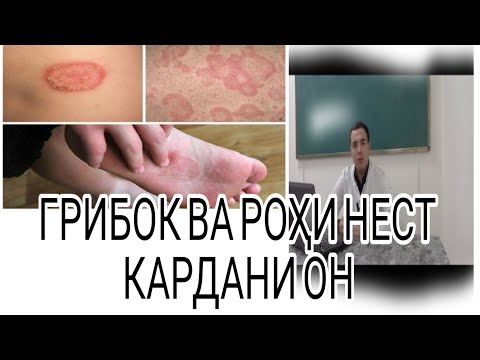 Видео: ГРИБОКҲО// РОҲҲОИ АСОСИИ НЕСТ КАРДАНИ ГРИБОК//ХОРИШИ ПУСТ