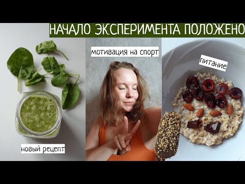 Видео: НАЧИНАЮ МЕНЯТЬ ПИТАНИЕ | новый смузи и ежедневная активность. Что я ем в течение дня?