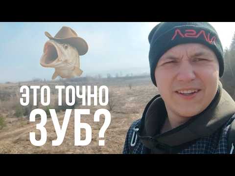 Видео: Я откопал зубы Древних Рыб! | Карьер Серпуховский Ярус