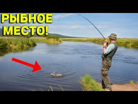 Видео: КЛЮЕТ ОДНА за ОДНОЙ, случайно СТАЛИ на РЫБНОЕ МЕСТО в КАМЫШАХ и Не ПОЖАЛЕЛИ!