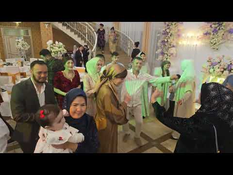 Видео: туй Новосибирск