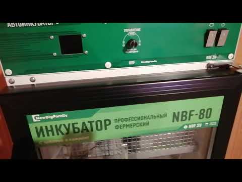 Видео: Инкубатор NBF-80 Первое впечатление от покупки.