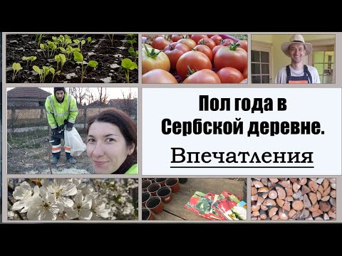 Видео: Первые 6 месяцев жизни в деревне. Итоги