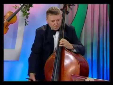 Видео: Музыка 16. Частота колебаний звука — Академия занимательных наук