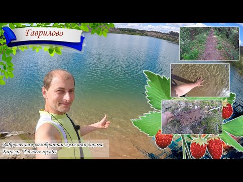 Видео: Гаврилово. Заброшенная разобранная железная дорога. Карьер. Чистые пруды