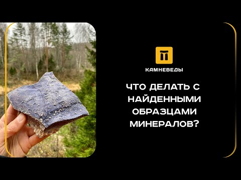 Видео: ЧТО ДЕЛАТЬ С НАЙДЕННЫМИ ОБРАЗЦАМИ МИНЕРАЛОВ?