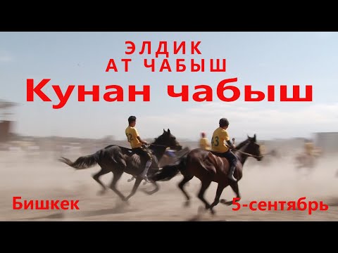 Видео: кунан чабыш